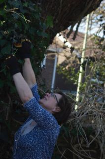Ivy, brambles and undergrowth clearance Cath clearing undergrowth of 15 years or more