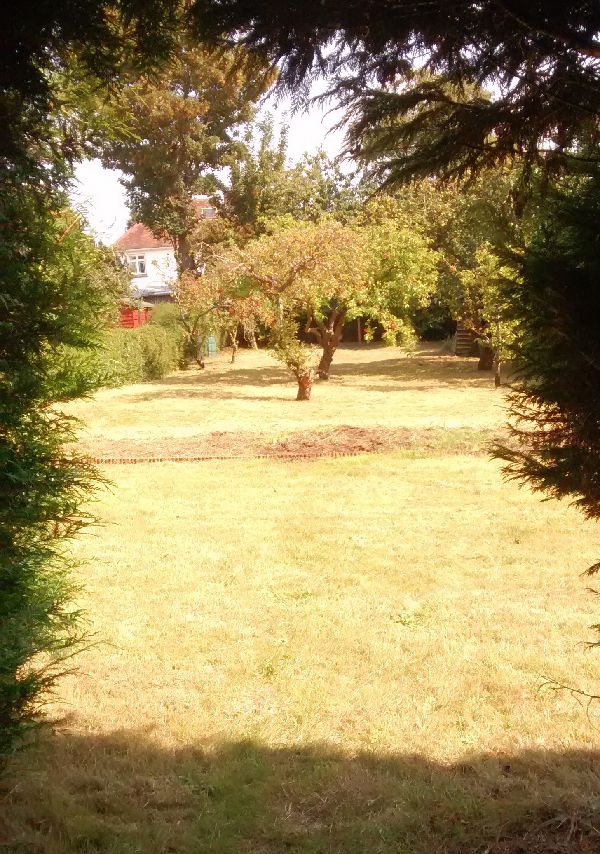 The garden after clearance in summer sunshine